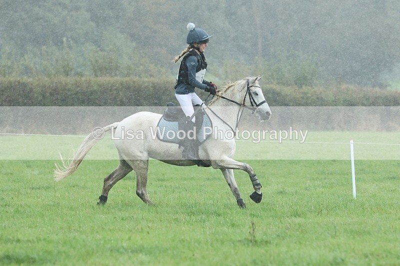 JPP_5035 - Class 1: 65cm : Showjumping