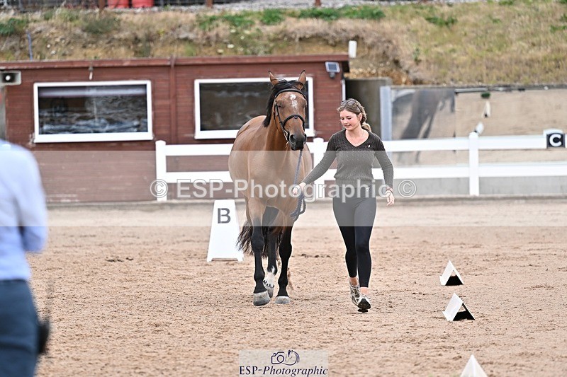 250716-170007-00791 - Trot Up 4.30 to 5.00