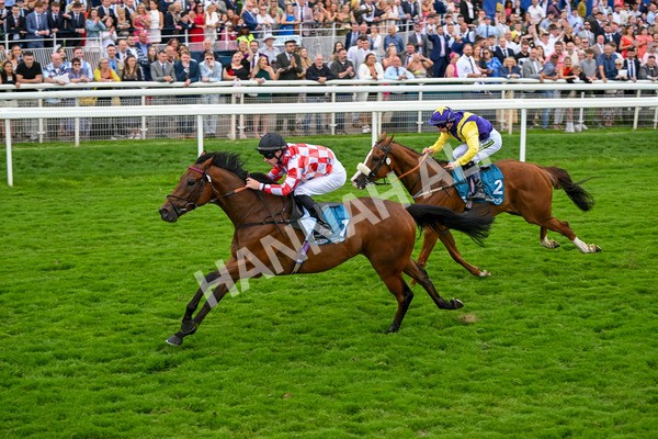 270724-Race 6-Ziggy-7537 - Race 6 5.10pm Sky Bet, For The Fans Handicap