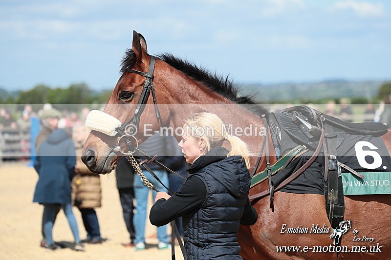 PtP 050525 90 - Mollington Races 05/05/25