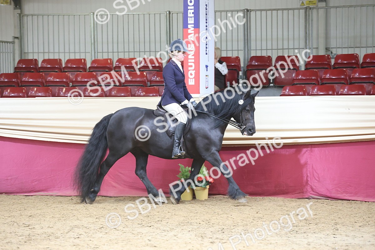 SBM_23709 - class 906 - Supreme Final - Ridden Pre Vet