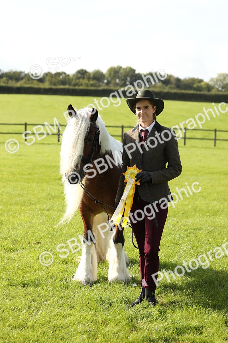 SBM_61014 - S43 - Coloured Pony In Hand