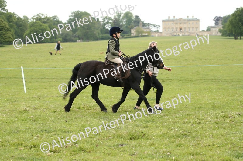 20250517-0466 - Class 20 - Beginners Working Hunter