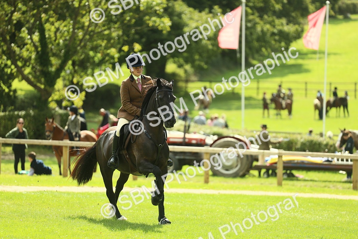 SBM_42869 - S30 - M&M Working hunter Pony