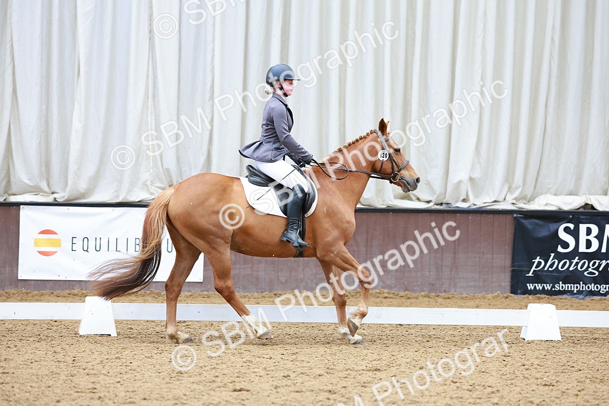SBM_000964 - Class 12 - Novice 2