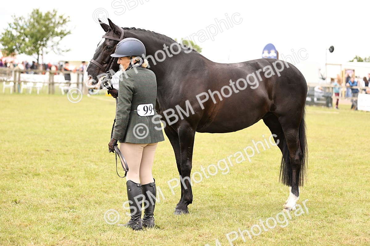 SBM_14610 - Class 88-89 - LIHS BSHA Rising Star of Ridden Hunter Type