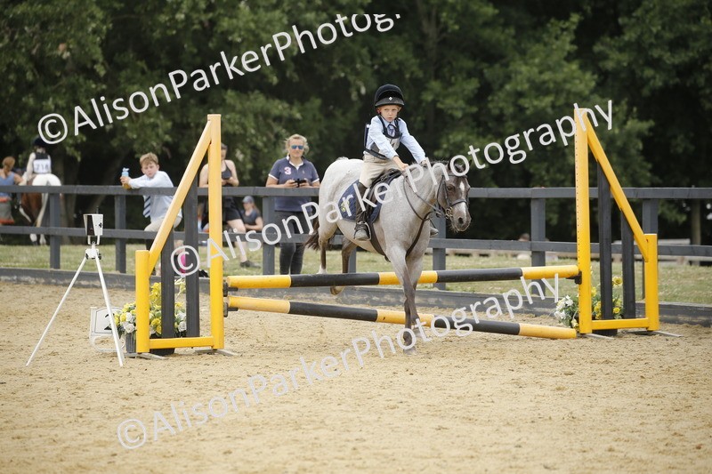 20250622-5865 - 60cm