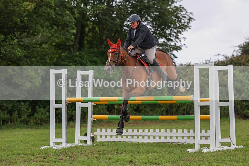 3E7A8246 - Class 7: Senior Newcomers/1.10m open