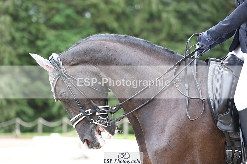 230813-155903-08420 - Cls 14 Medium Silver Start to 16.25 break