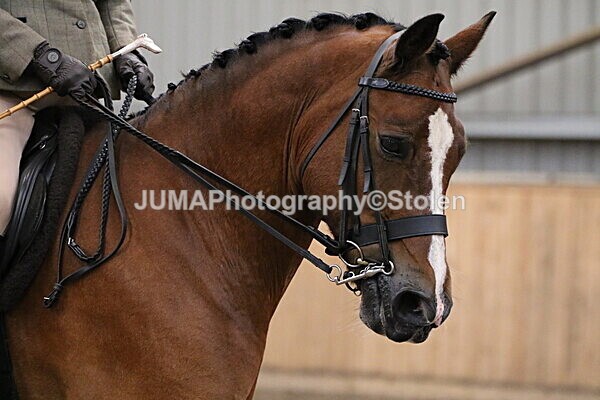 SIAL2700 - Sunday 14th Ridden