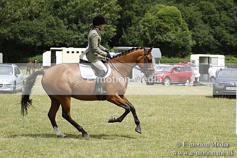 BVR160717-1812 - Ring 3 BVRC Show 16/07/17