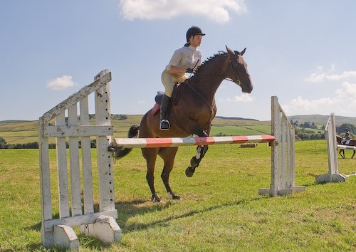 144 - Moniaive Horse Show 2008
