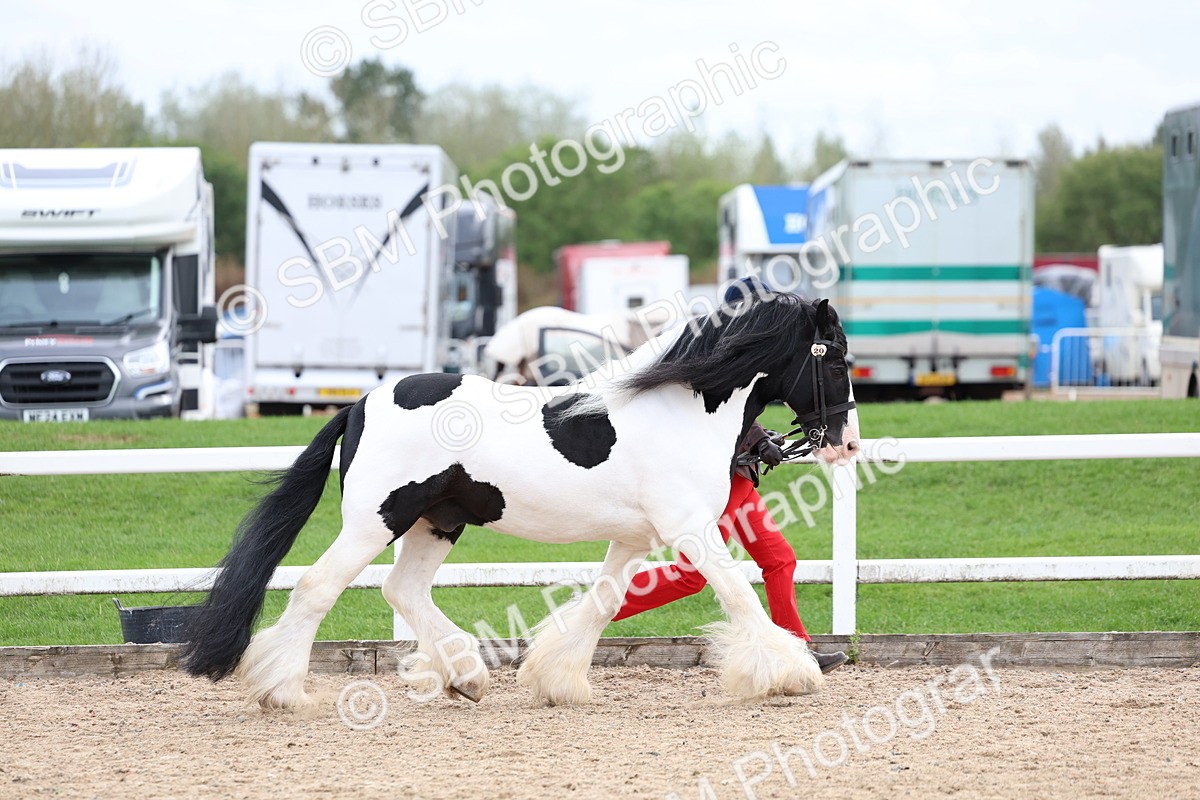 SBM_05860 - Class 29 - IH Veteran Pony