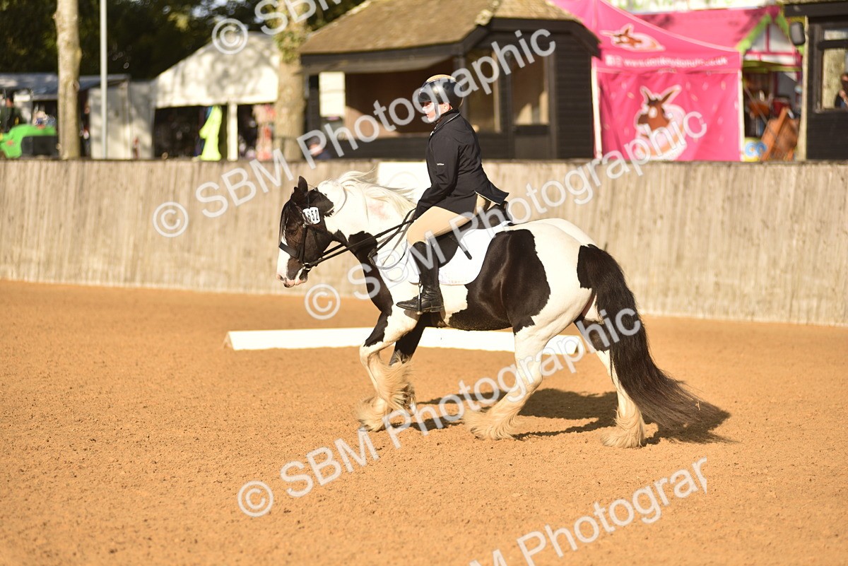 SBM_53357 - D24 - Junior Championship Prelim 3