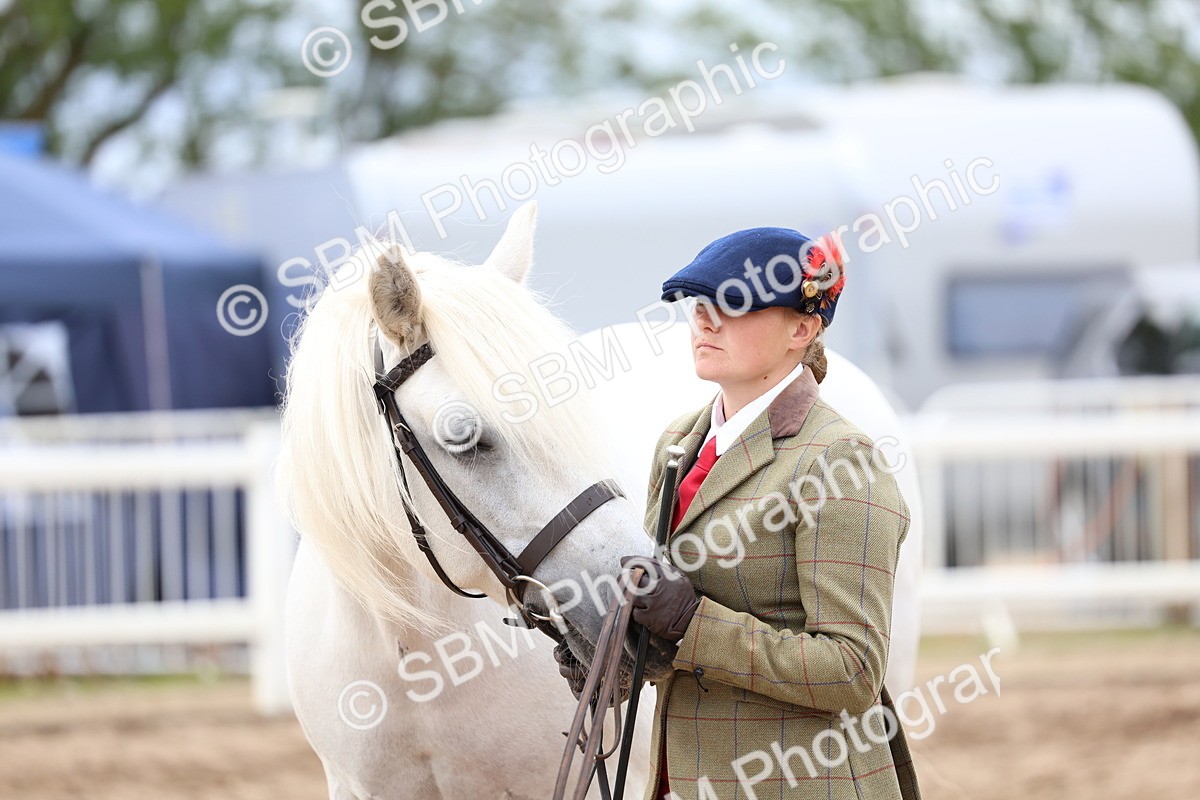 SBM_05930 - Class 29 - IH Veteran Pony