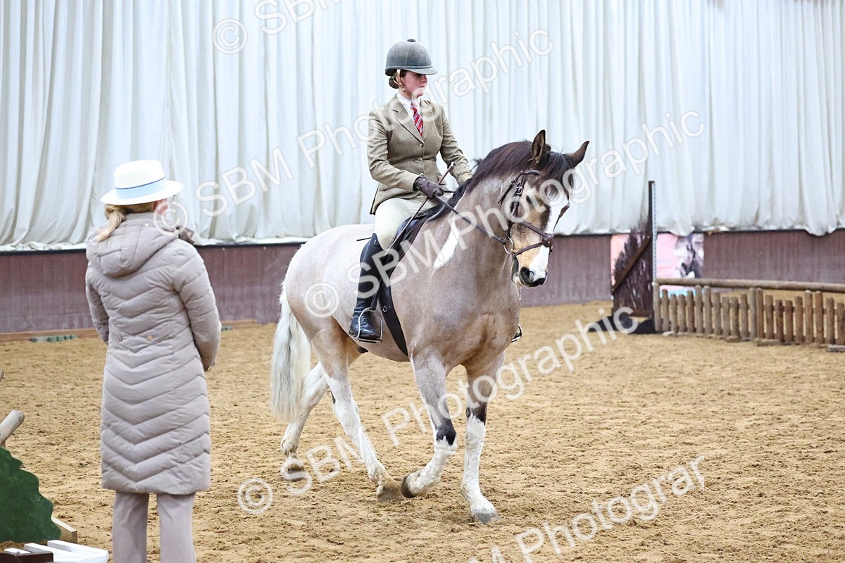 SBM_003378 - Class 36 - 70cm Training Stakes