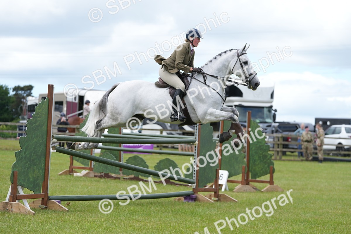 SBM_14986 - Class 100-102 - RIHS Working Hunter