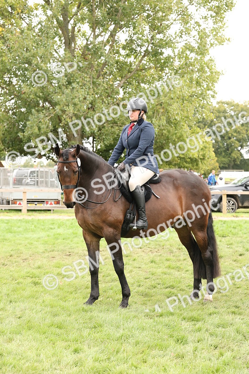 SBM_63022 - S64 - Foreign Breeds Ridden