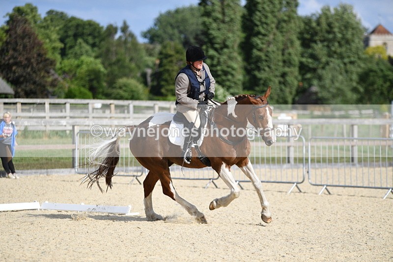 WJ5_8309 - Time 17:25 to 17:47