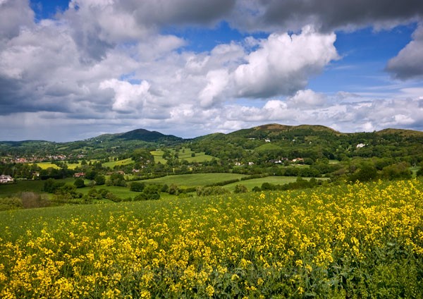 Darling May - The Malvern Hills