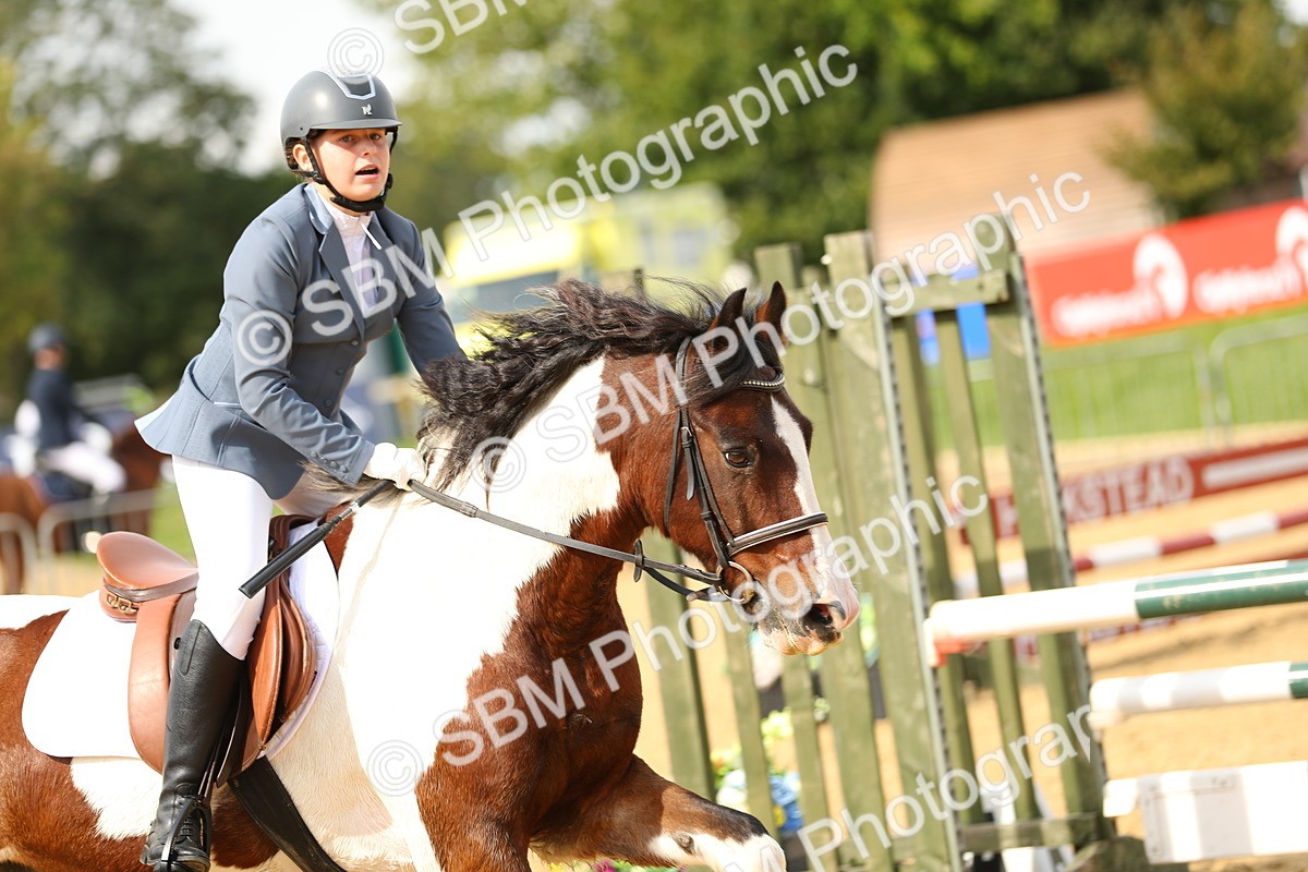 SBM_67132 - J17 - Junior Pony 80cm Championship