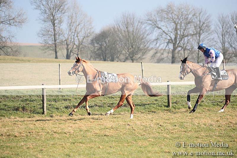 PtP 230219 161 - Vine & Craven Point-To-Point - Barbury 23/02/19