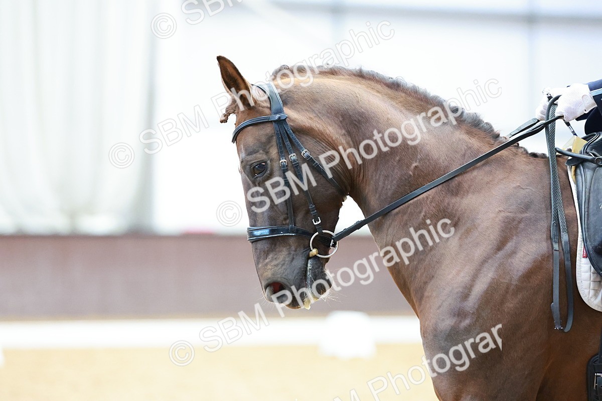 0B8A4871 - Class 11 - M5