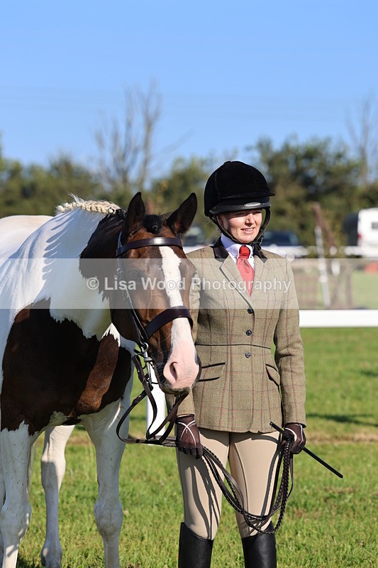 IMG_1303 - Class 27: Ridden Plaited Coloured Horse