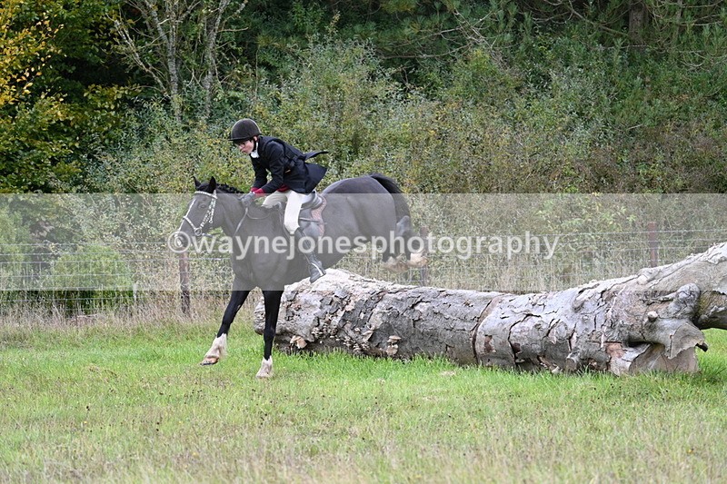 WJ7_3894 - Camera 1 Line 1