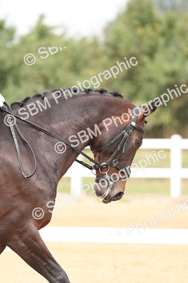 SBM_007093 - Class 9 - FEI INT I - 13.37-14.33