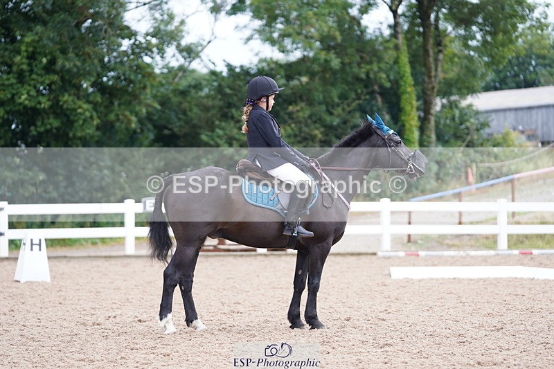 240809A-102038-00501 - Dressage Competition