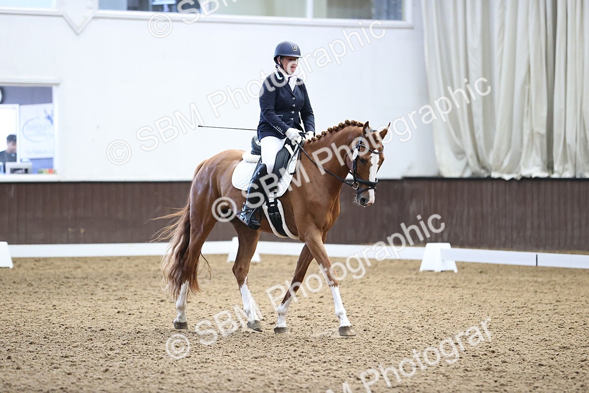 SBM_000364 - Novice 4 Warm Up