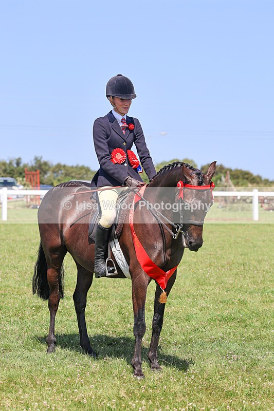IMG_2150 - Plaited Ridden Championship