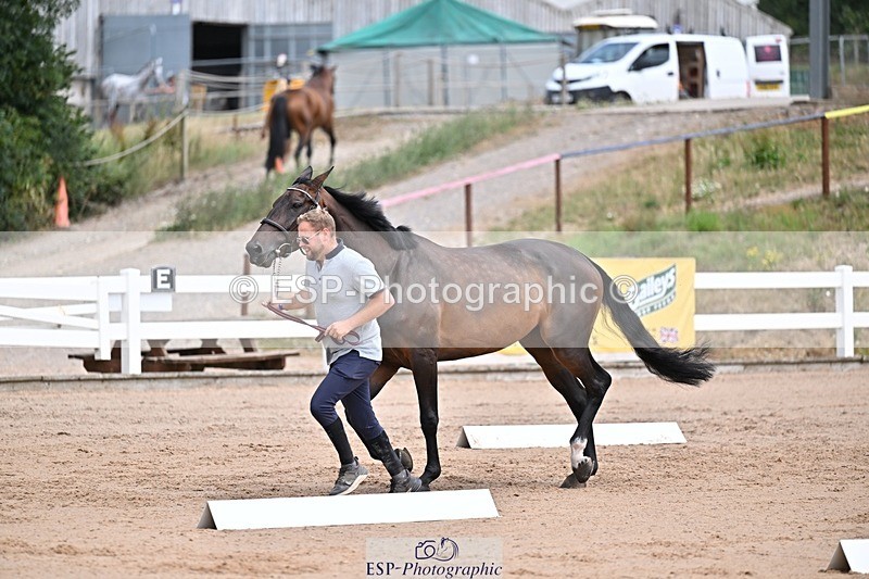 250716-131050-00387 - Trot Up 12.30 to 1.30