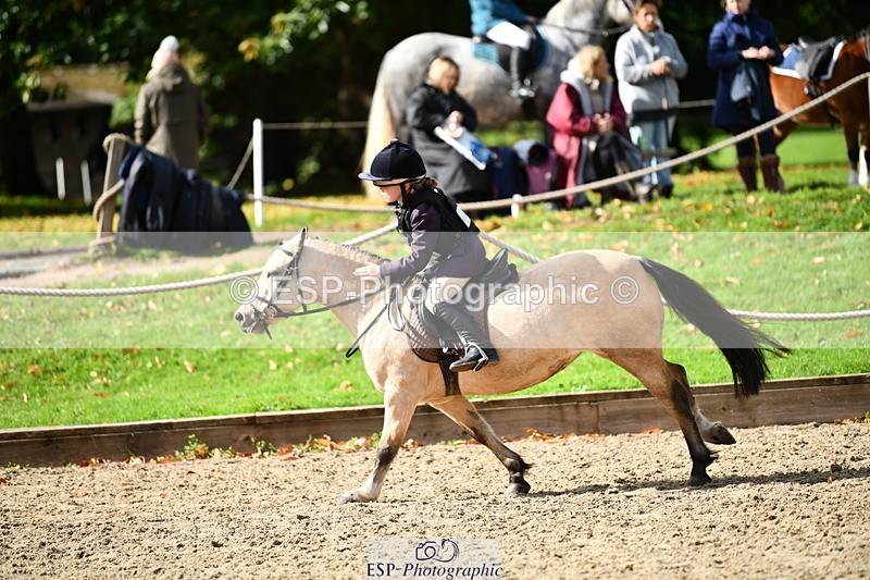 251004A-131115-01181 - Classes 6 & 7 60cm