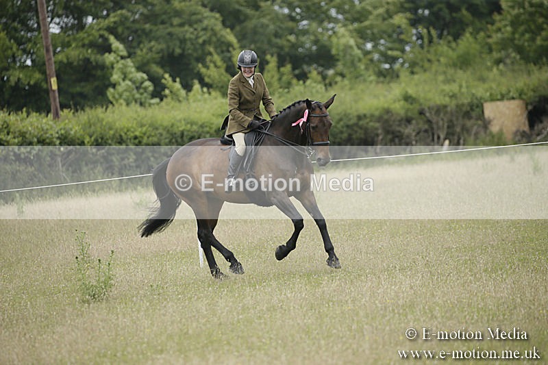 B230619-0816 - Bourne Valley Riding Club Summer Show 23/06/19