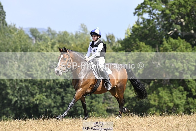 250824A-145230-38844 - 2147-George.Walford-meadow.sweet.conker