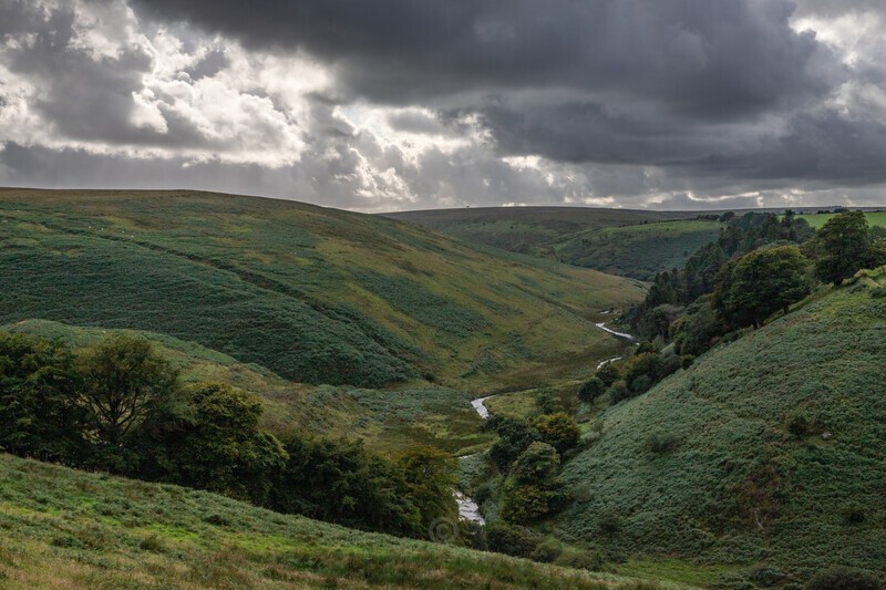 Exmoor mood - Latest Images
