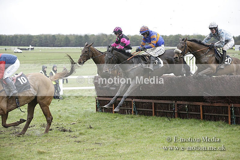 PtP 150320 0229 - New Forest Point-to-Point Larkhill 15/03/20