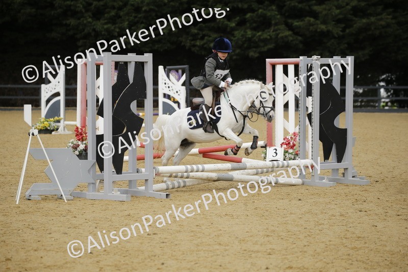 20250622-1471 - 40cm