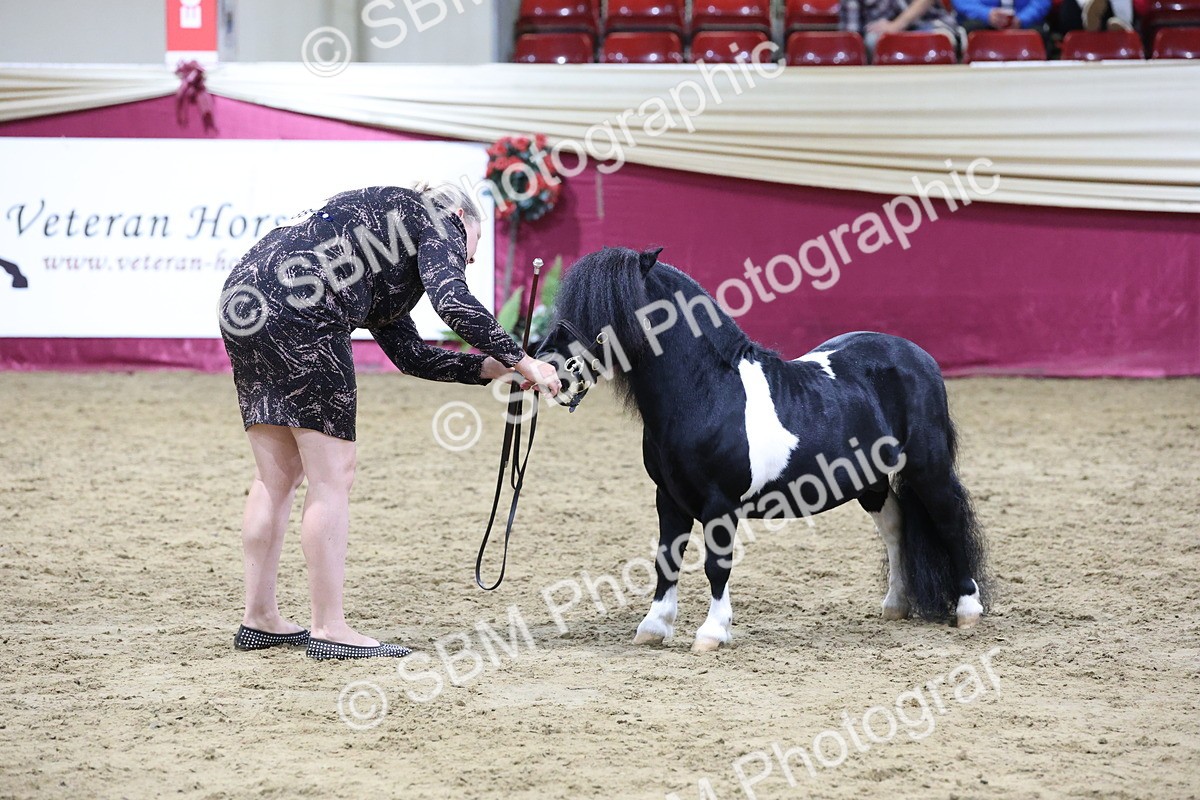 SBM_21102 - Class P - M&M Champs