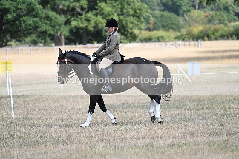 WJ7_6056 - Class 13 Ridden Veterans