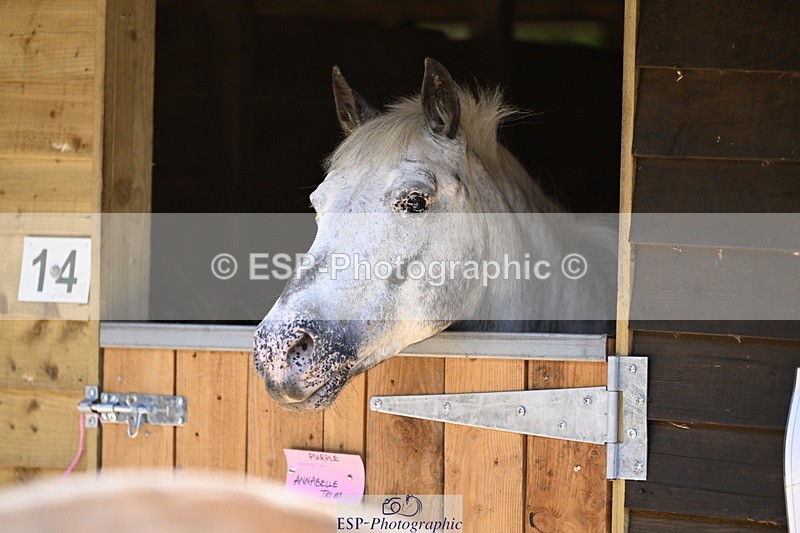240728B-114817-00335 - Sunday Stable Shots and Fancy Dress