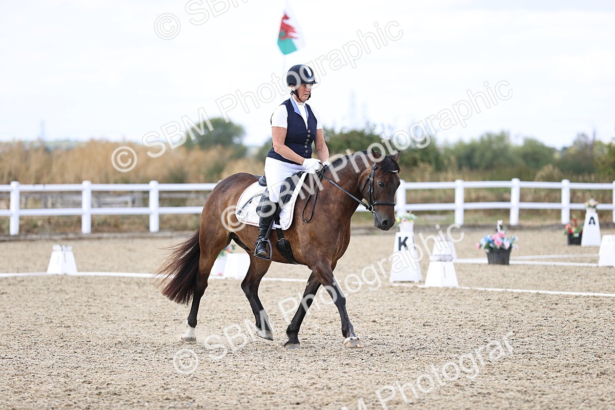 SBM_015332 - Class 5 - E5 Bronze 14.42.15.54