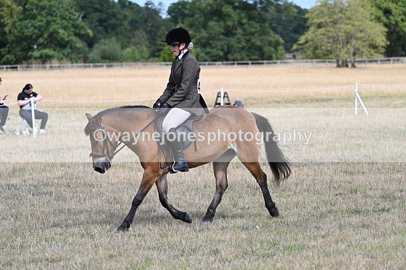 WJ7_6015 - Class 13 Ridden Veterans