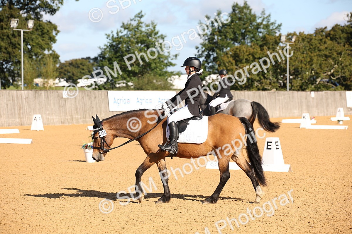 SBM_01899 - D2 Small Tour Championship Intro C