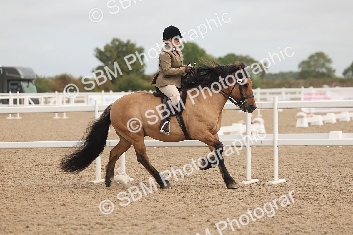 SBM_02038 - Class 14 - Ridden M&M Wildcard