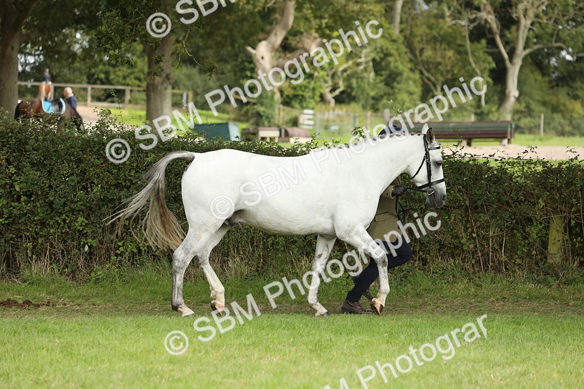 SBM_68542 - S40 - Junior Handler 9-12 Years