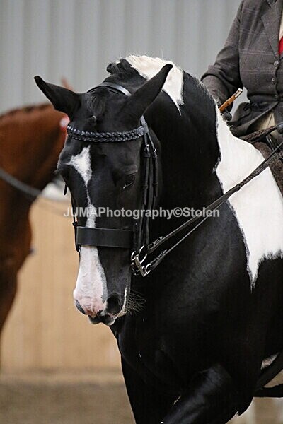 SIAL3073 - Sunday 14th Ridden