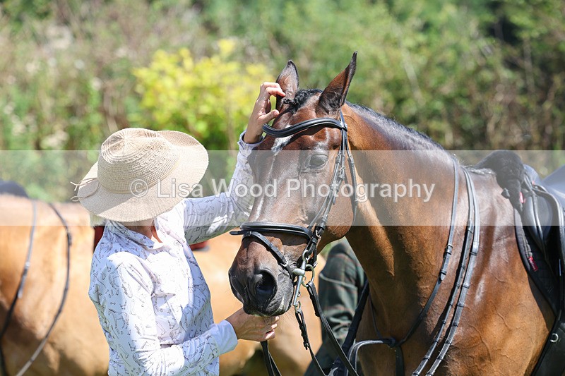 3E7A9020 - Class 6: Open Working Horse